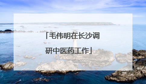 毛伟明在长沙调研中医药工作